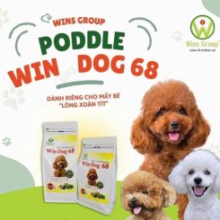 thuc-an-hat-windog-POODLE-68