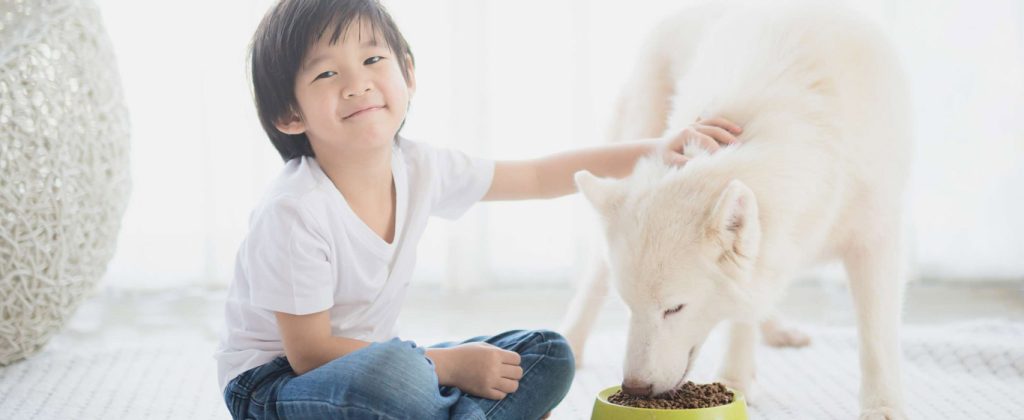 tam-nhin-goc-thu-cung